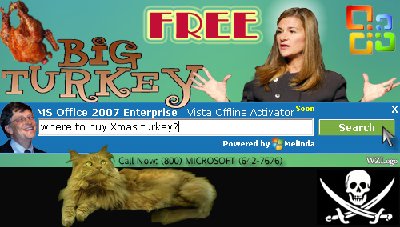 melinda_gates_turkey.jpg